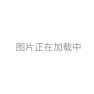 脈動(dòng)真空滅菌器滅菌柜WG-0.25