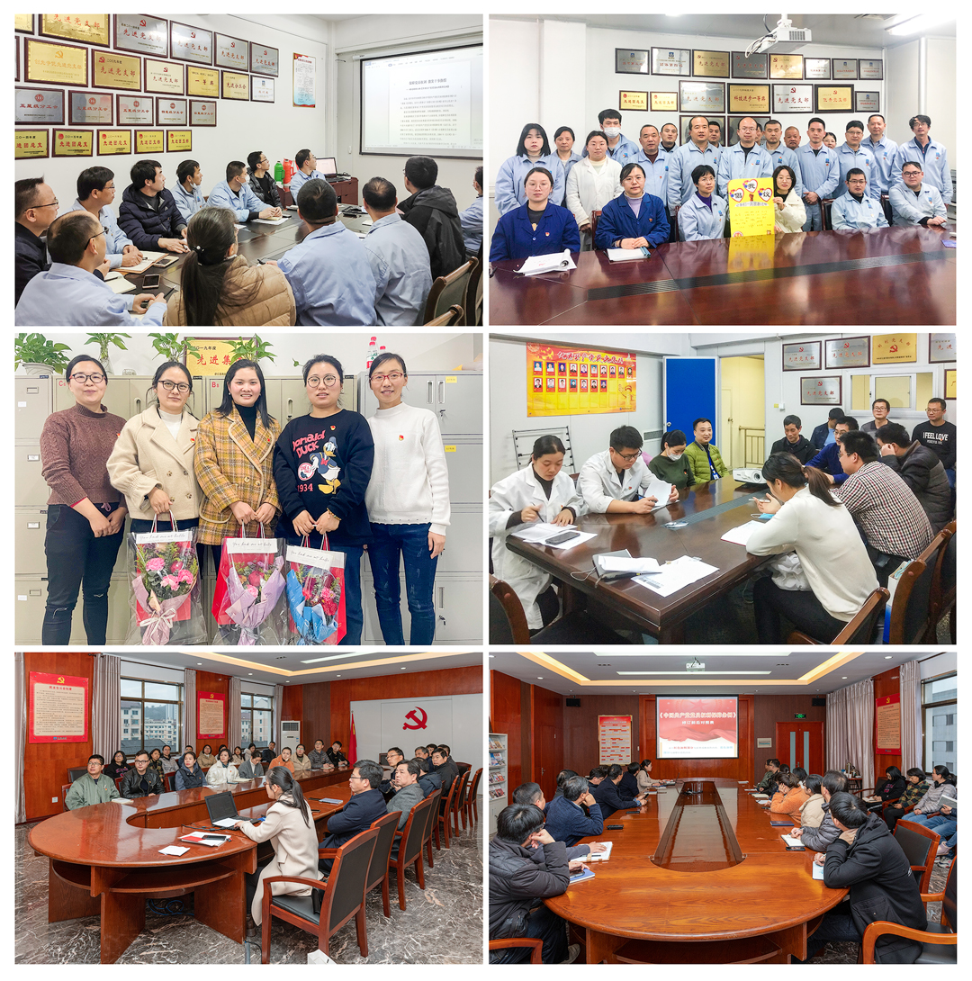 新昌制藥廠2月份主題黨日活動(dòng)照片（沈鋼、何媛媛、宋晗、董鵬城、商景天攝）.jpg